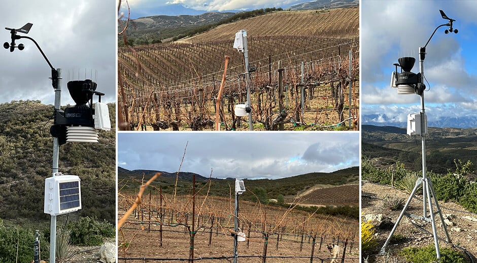 Rodnick_Farm_Collage