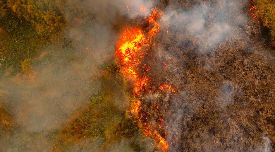 Wildfires are more frequent and destructive than they used to be